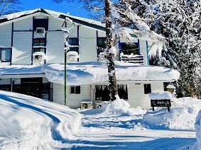 �y���V�����_�˂��q