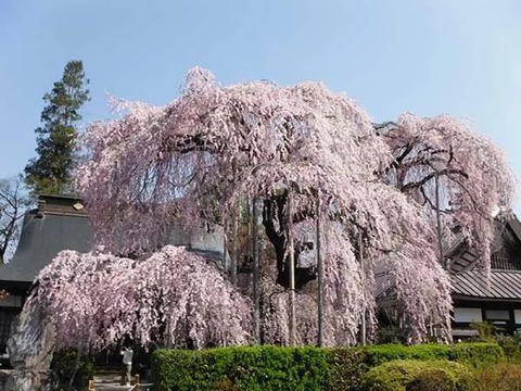 i摜