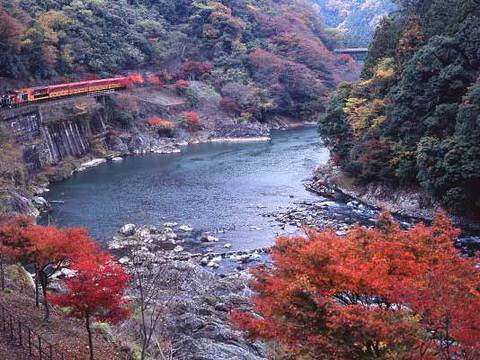 日帰り トロッコ列車 国内旅行 国内ツアーを格安人気プランから検索 比較 予約 トラベルjp
