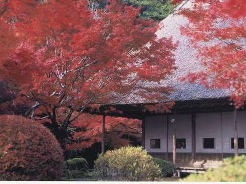 i摜