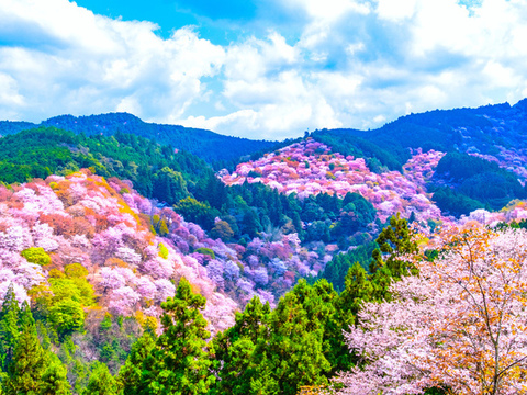 i摜