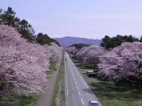 i摜