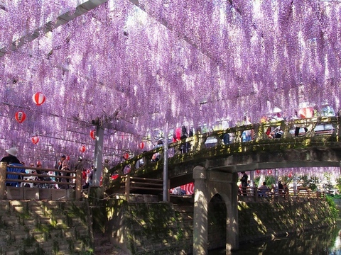 i摜