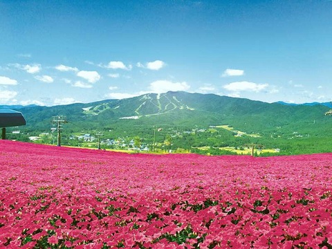 i摜