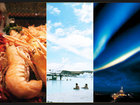 （船室／内側）＜那覇発着＞極北の夏、アイスランドと北欧フィヨルド　ノーザンディスカバリークルーズ１５日間 イメージ